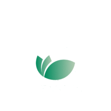 CG Cleaning DC
